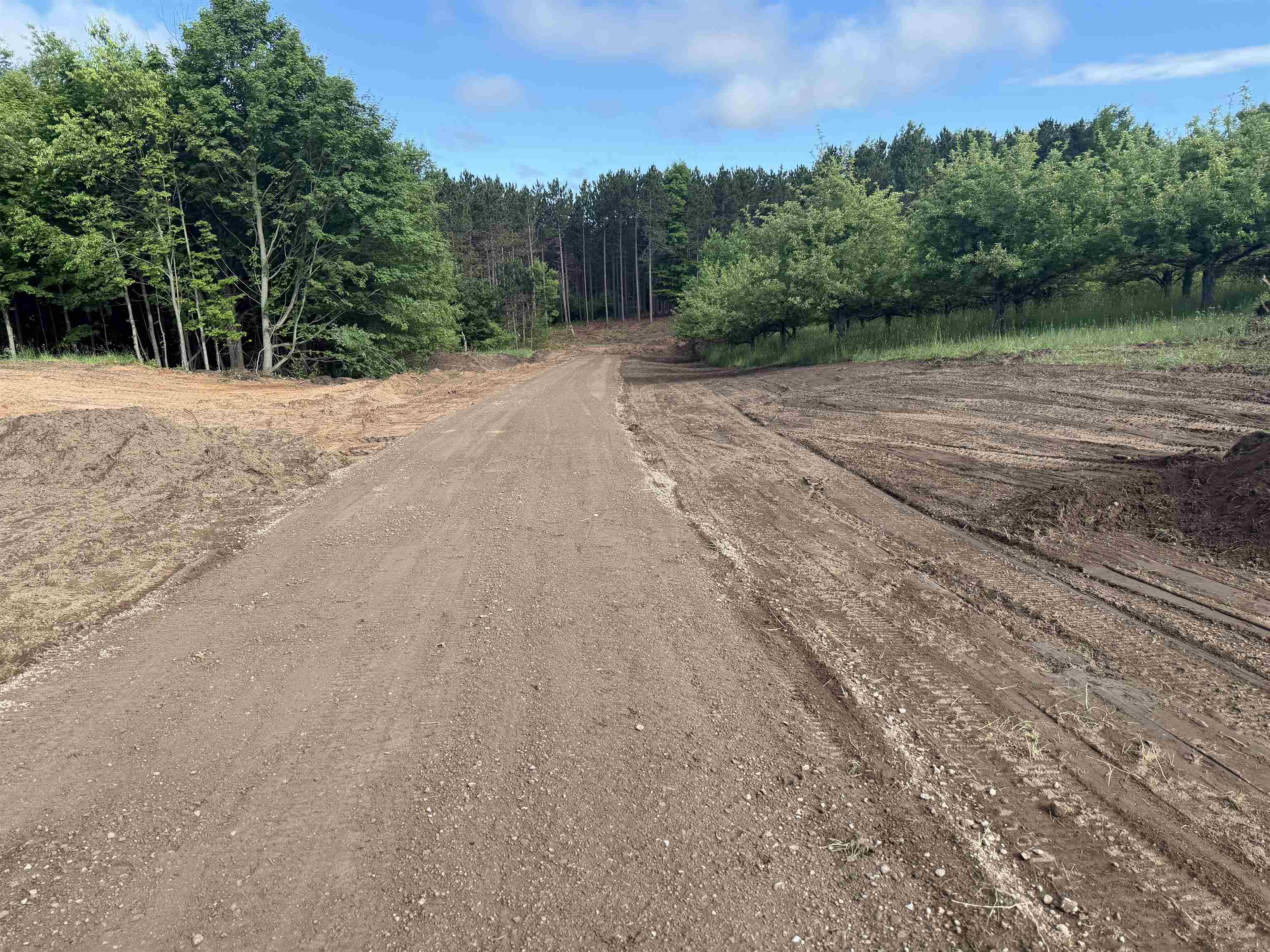 Parcel 6 Karnes Road, Unit LOT: 6 Empire, MI 49636 - Photo 11 of 11