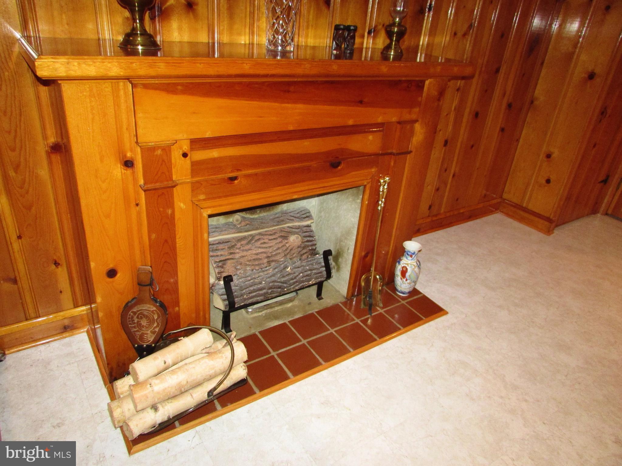 3418 Gaither Road Baltimore, MD 21244 - Photo 19 of 30 Gas Fireplace