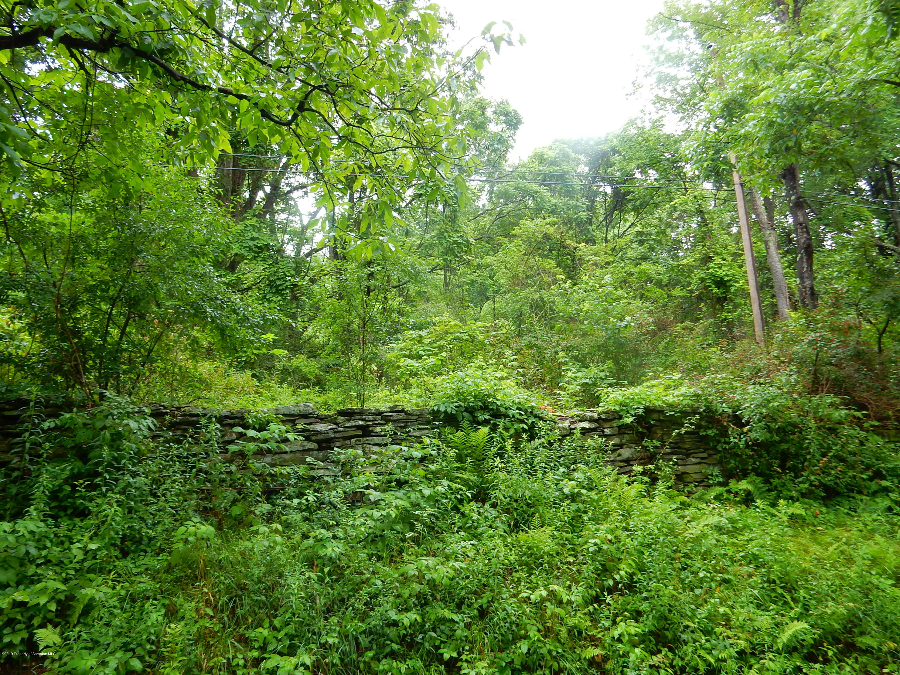DSCN5338