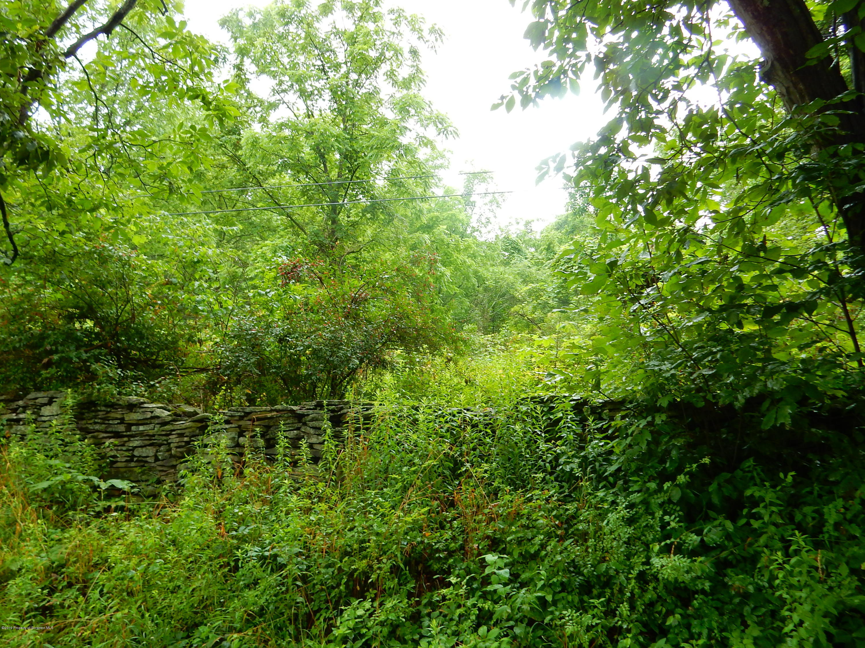 DSCN5337