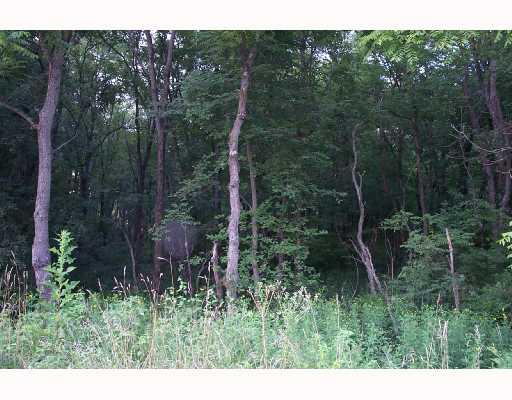 Lot 3 Mcginley Road Chicora, PA 16025 - Photo 2 of 4 Exterior Front.