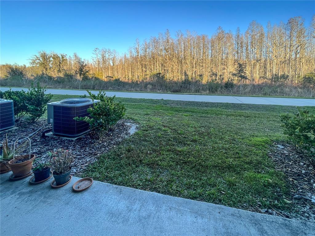 8078 Rolling Shell Trail Wesley Chapel, FL 33545 - Photo 3 of 12