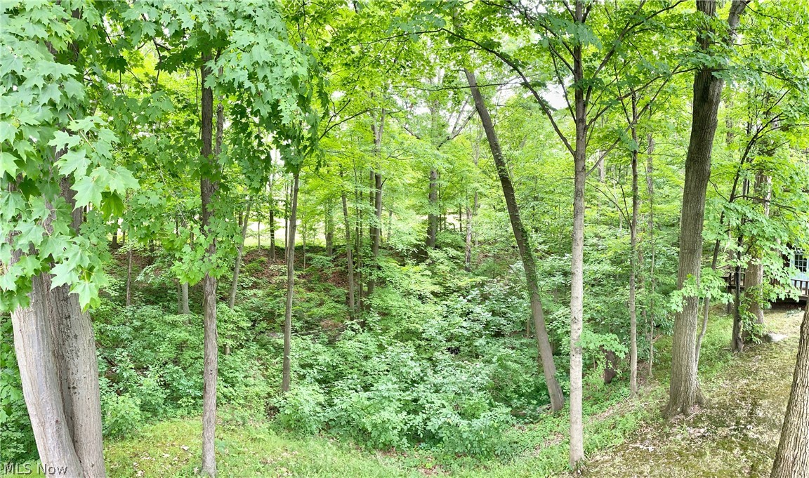 3970 Hamilton Road Medina, OH 44256 - Photo 21 of 32 Gallery Image 21