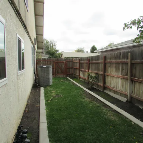 a view of a backyard with plants and large trees
