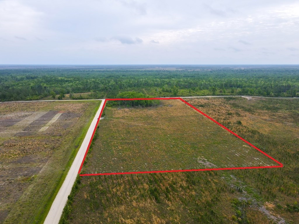 40 Davis Peacock Road Wewahitchka, FL 32449 - Photo 7 of 22