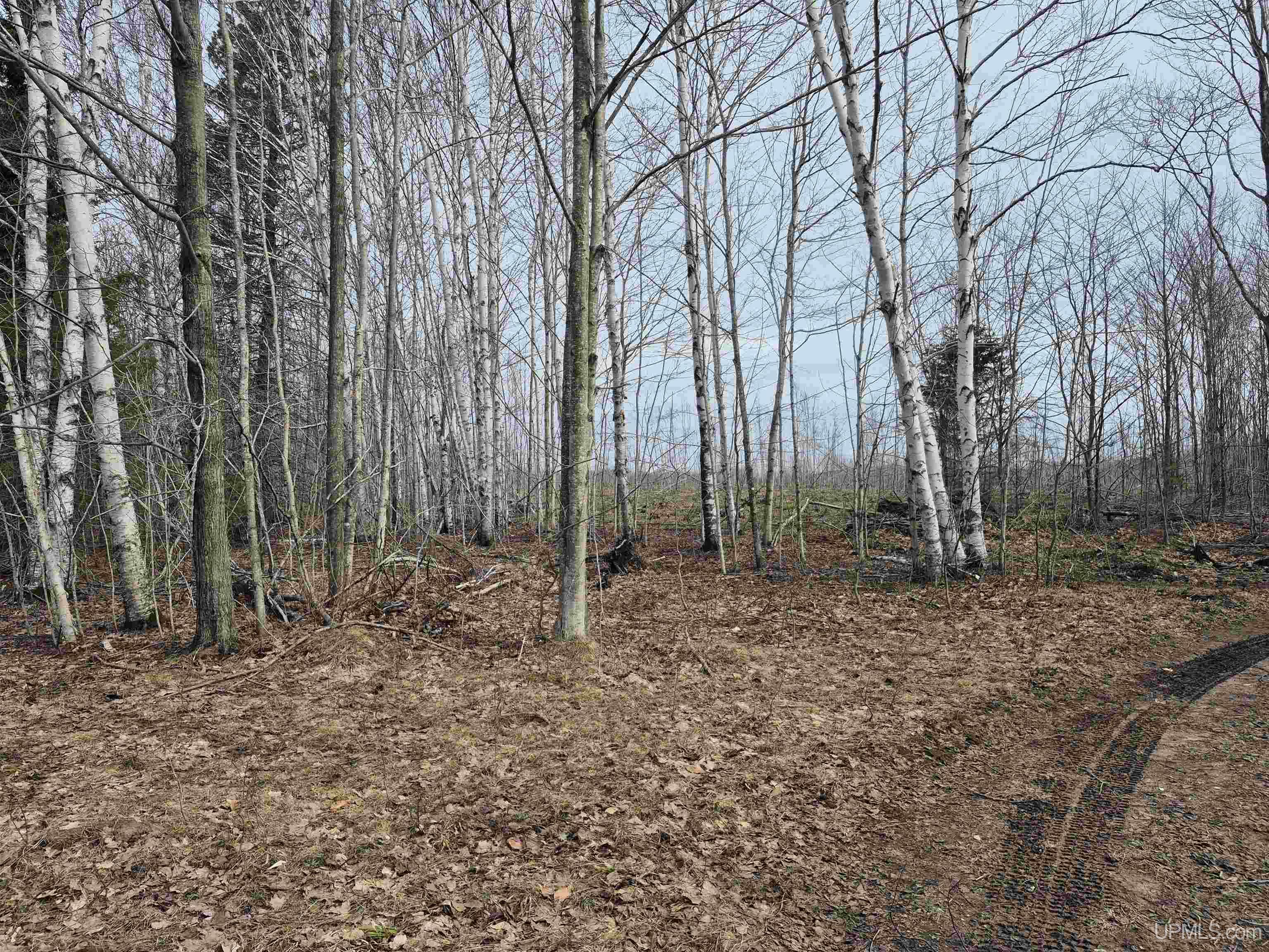 3754 Quarry Road Gulliver, MI 49840 - Photo 41 of 77