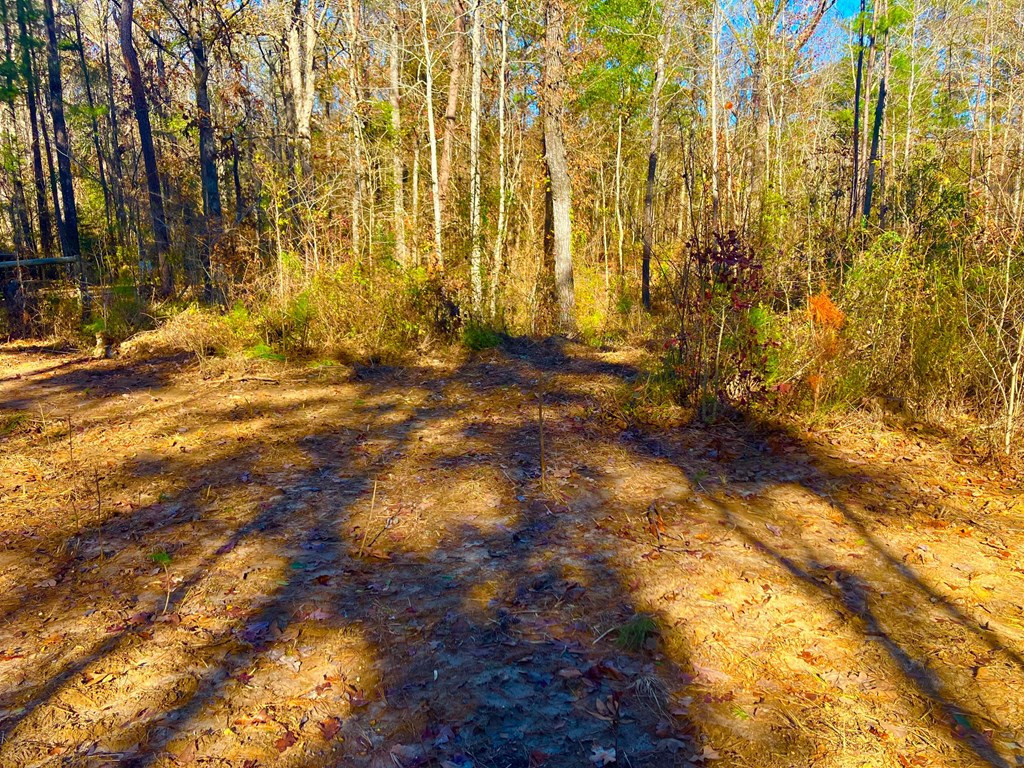 1000 Cline Road Wesson, MS 39191 - Photo 3 of 7 Photo 3