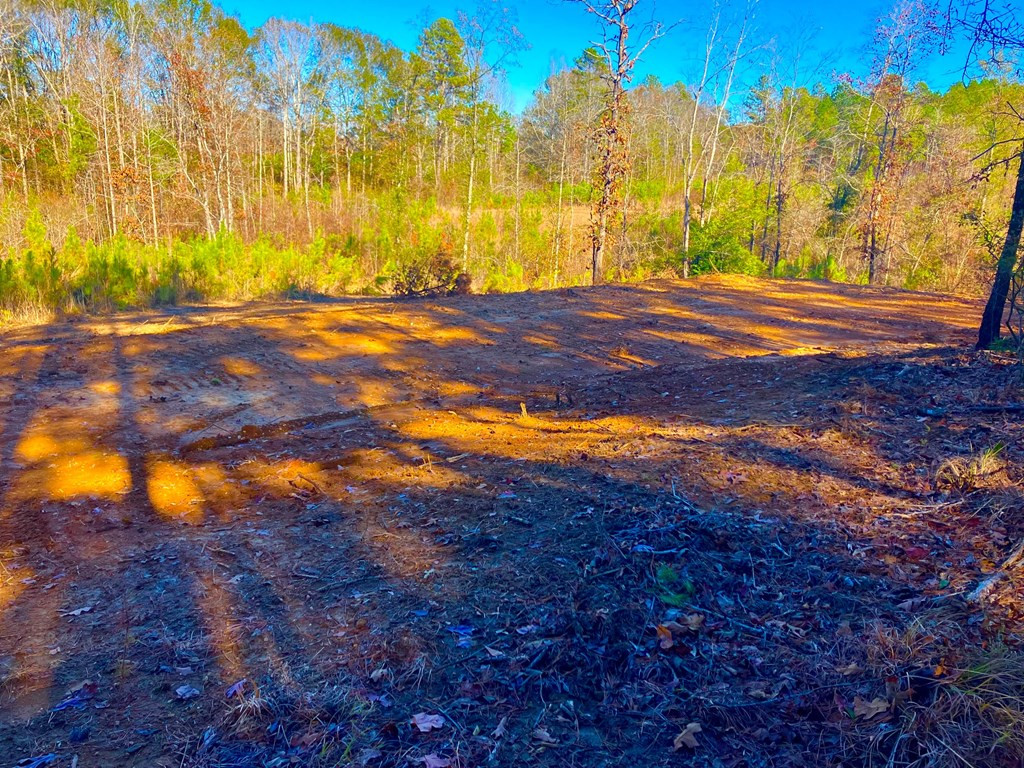 1000 Cline Road Wesson, MS 39191 - Photo 5 of 7 Photo 5