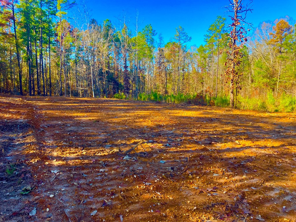 1000 Cline Road Wesson, MS 39191 - Photo 7 of 7 Photo 7