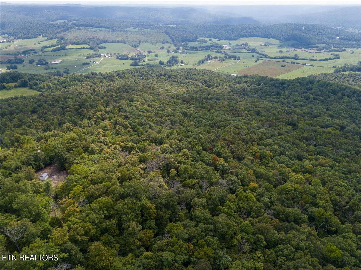0 Fire Tower 23.2 Ac Road Sparta, TN 38583 - Photo 10 of 18 Gallery Image 10