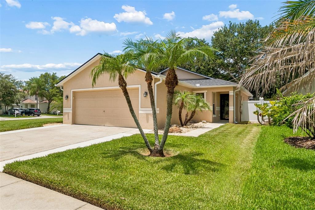 32323 Fish Hook Loop Wesley Chapel, FL 33545 - Photo 2 of 76