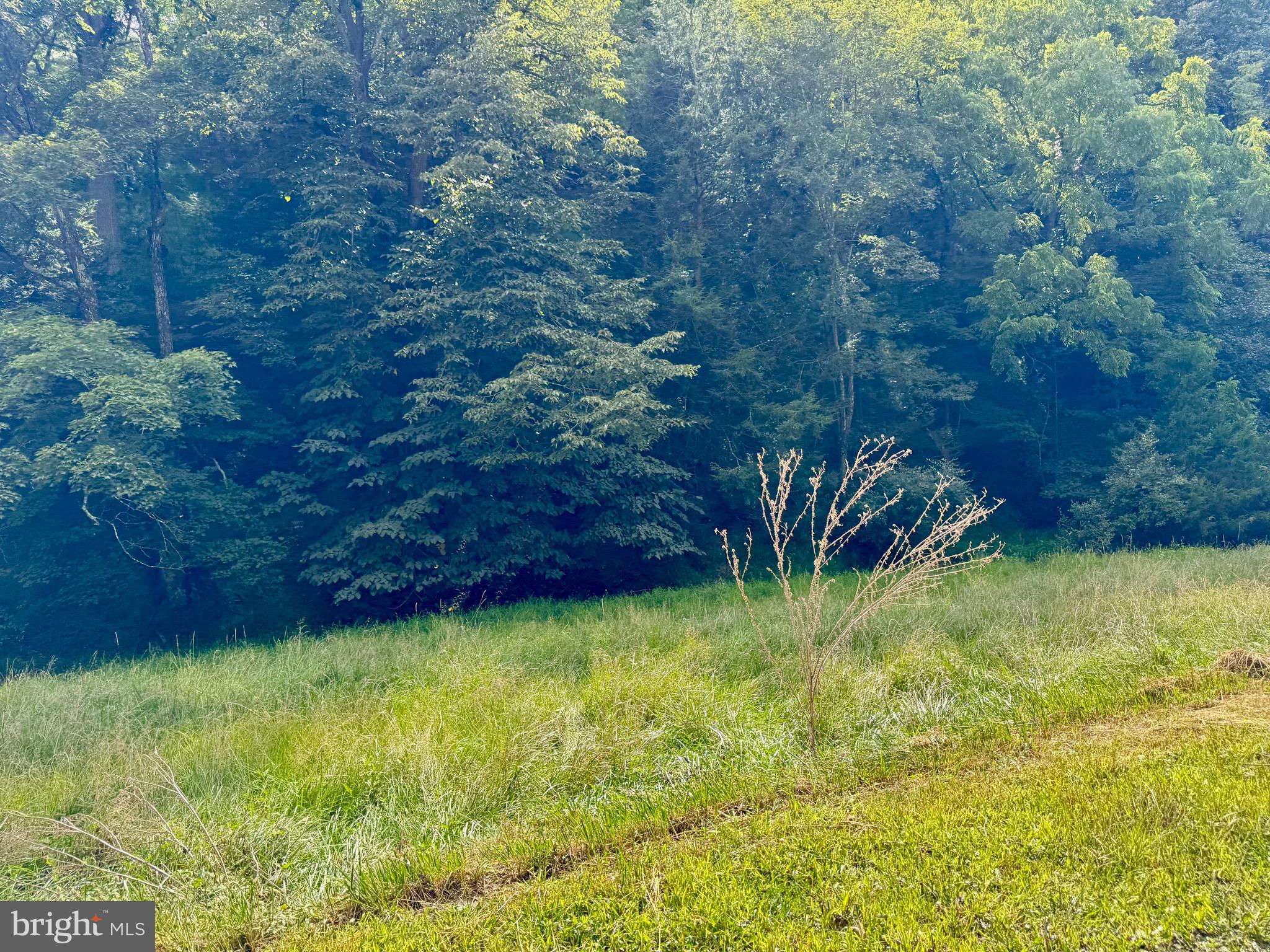 1030 Kites Road Petersburg, WV 26847 - Photo 11 of 51