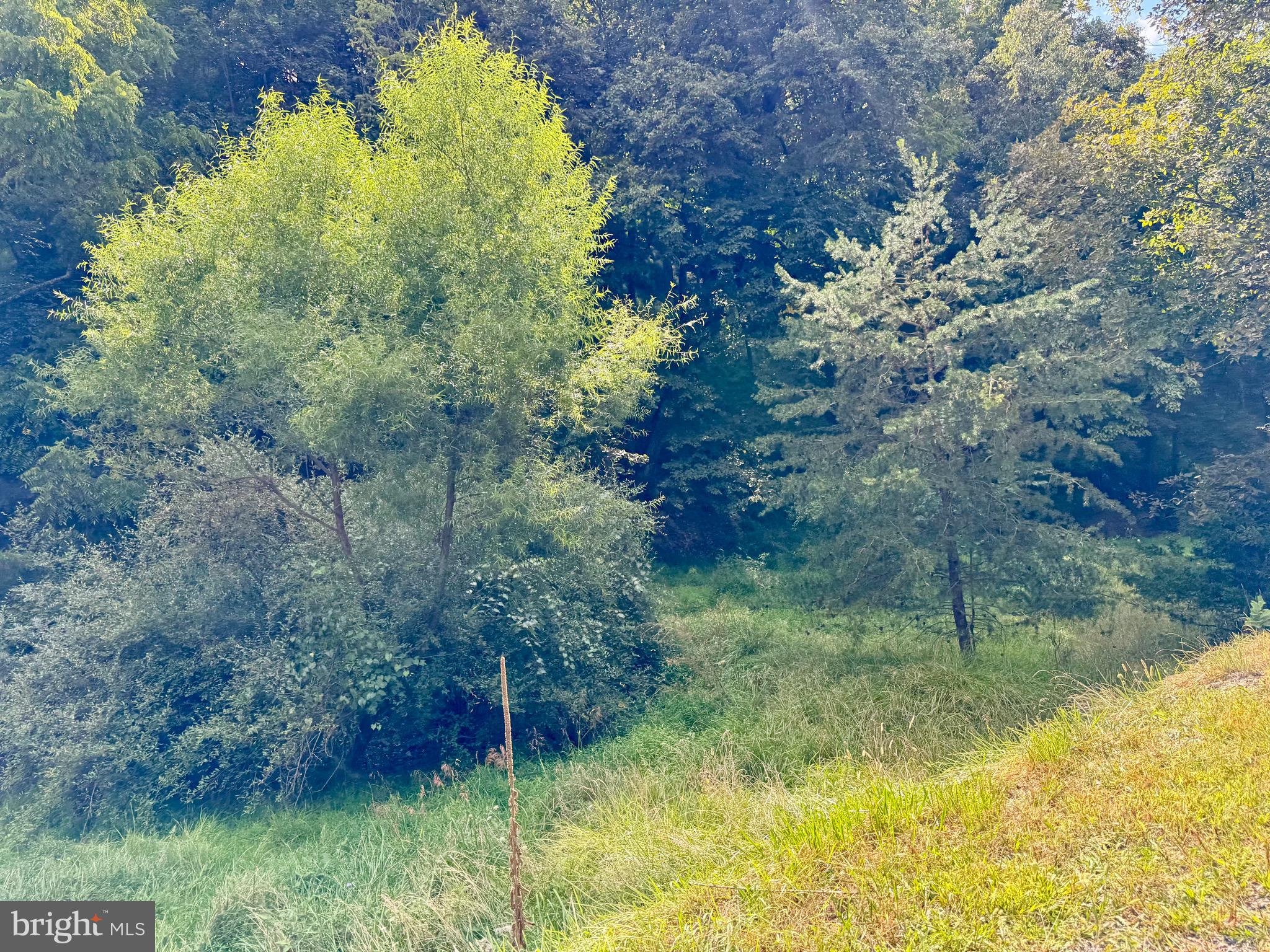 1030 Kites Road Petersburg, WV 26847 - Photo 13 of 51