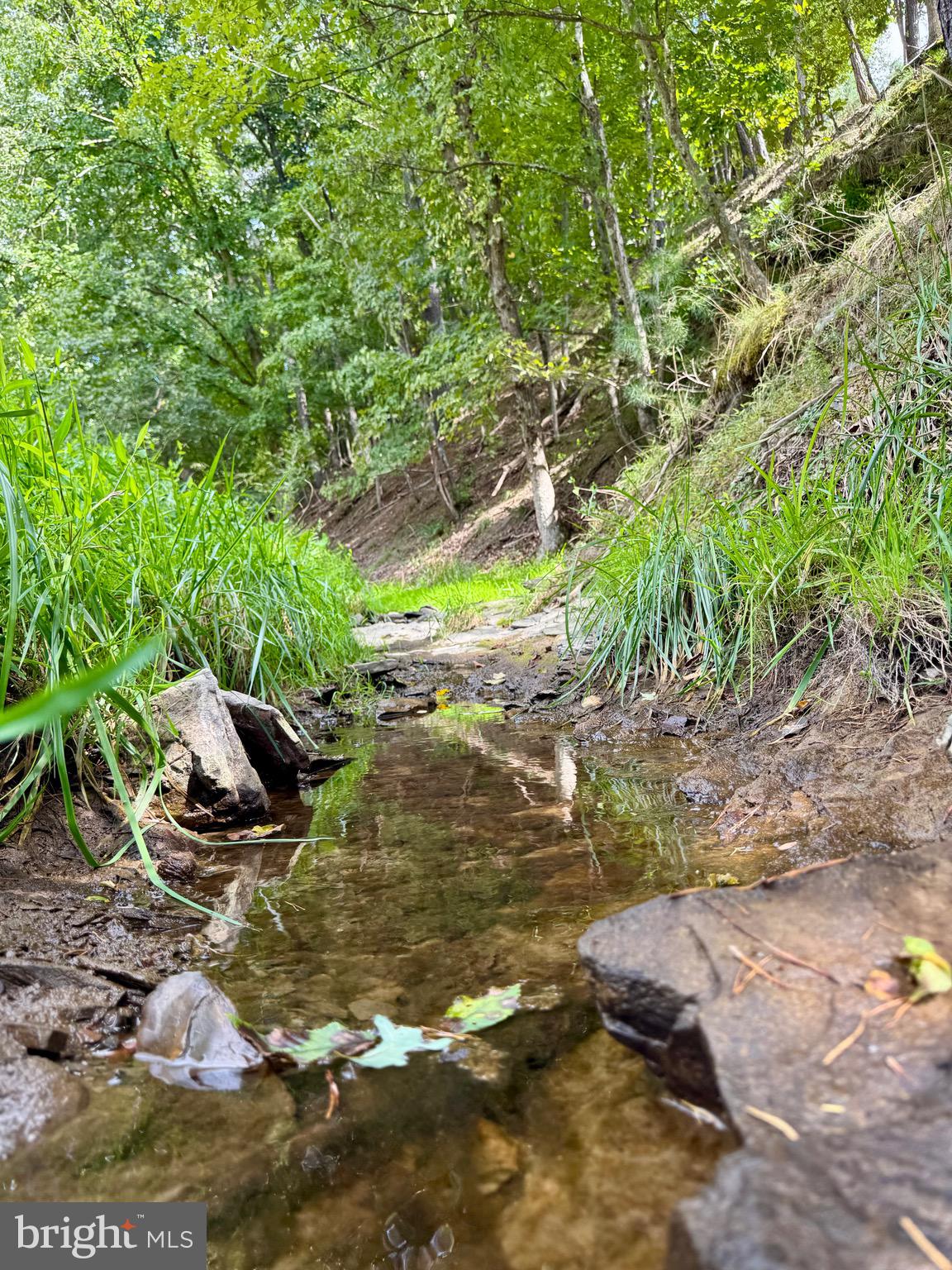 1030 Kites Road Petersburg, WV 26847 - Photo 2 of 51 Stream on property
