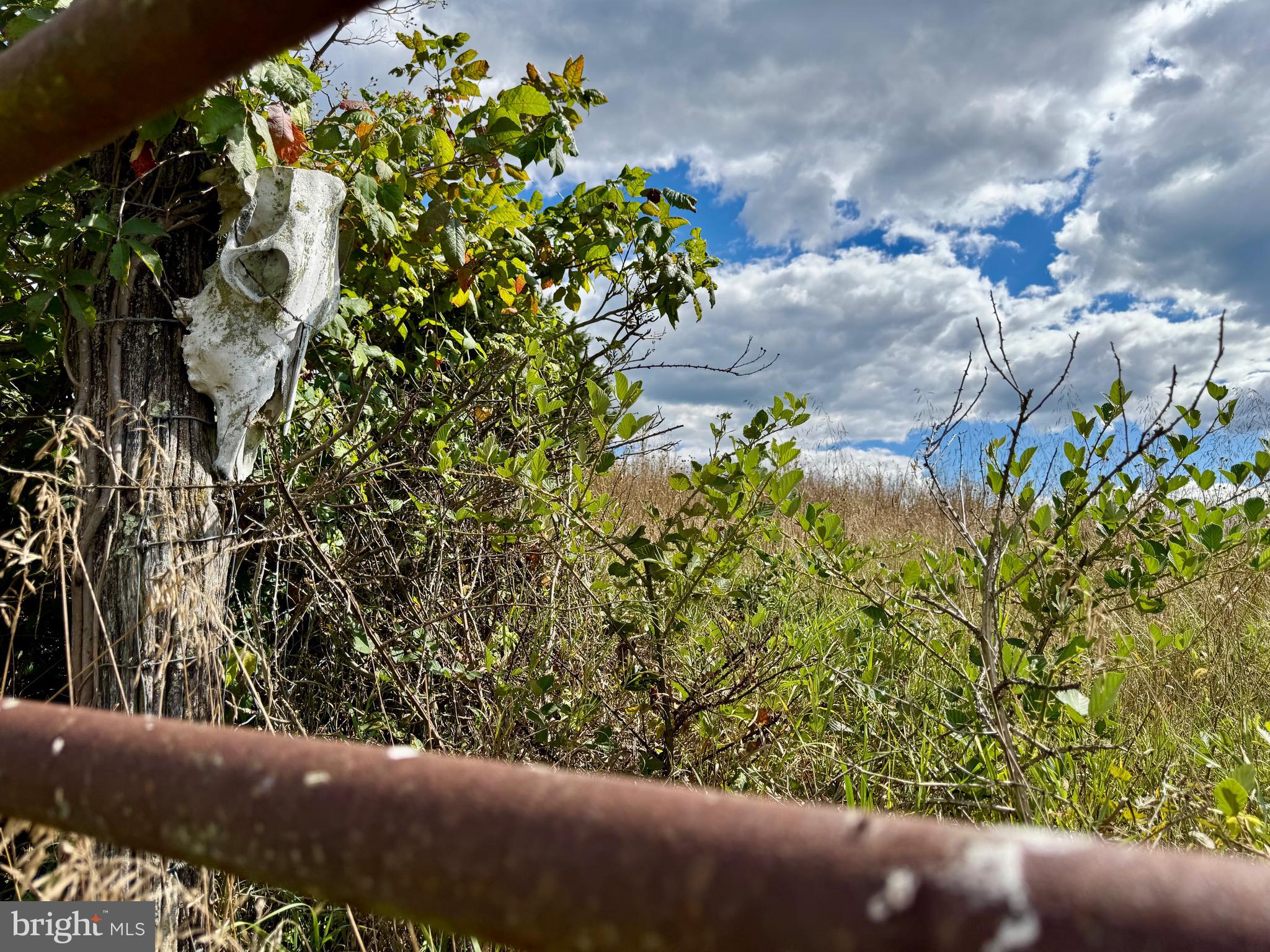 1030 Kites Road Petersburg, WV 26847 - Photo 23 of 51