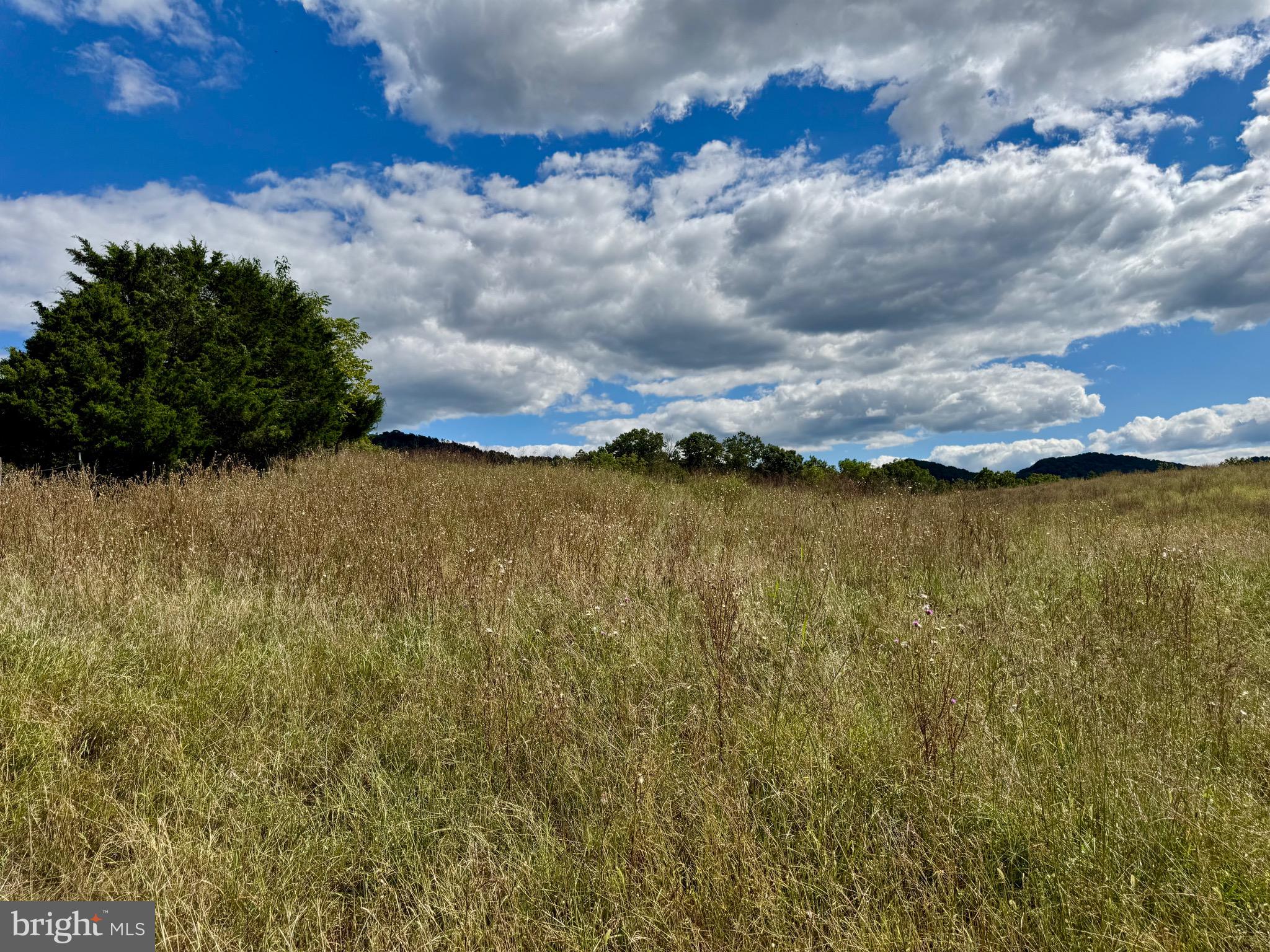 1030 Kites Road Petersburg, WV 26847 - Photo 24 of 51