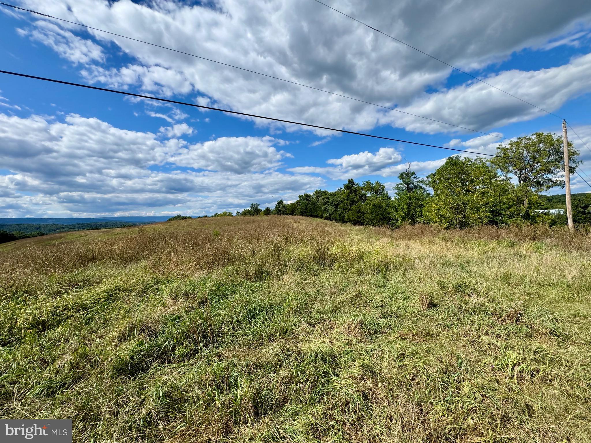 1030 Kites Road Petersburg, WV 26847 - Photo 26 of 51