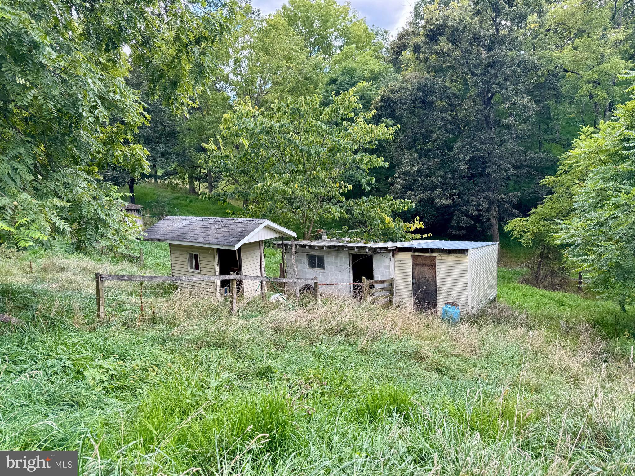 1030 Kites Road Petersburg, WV 26847 - Photo 42 of 51