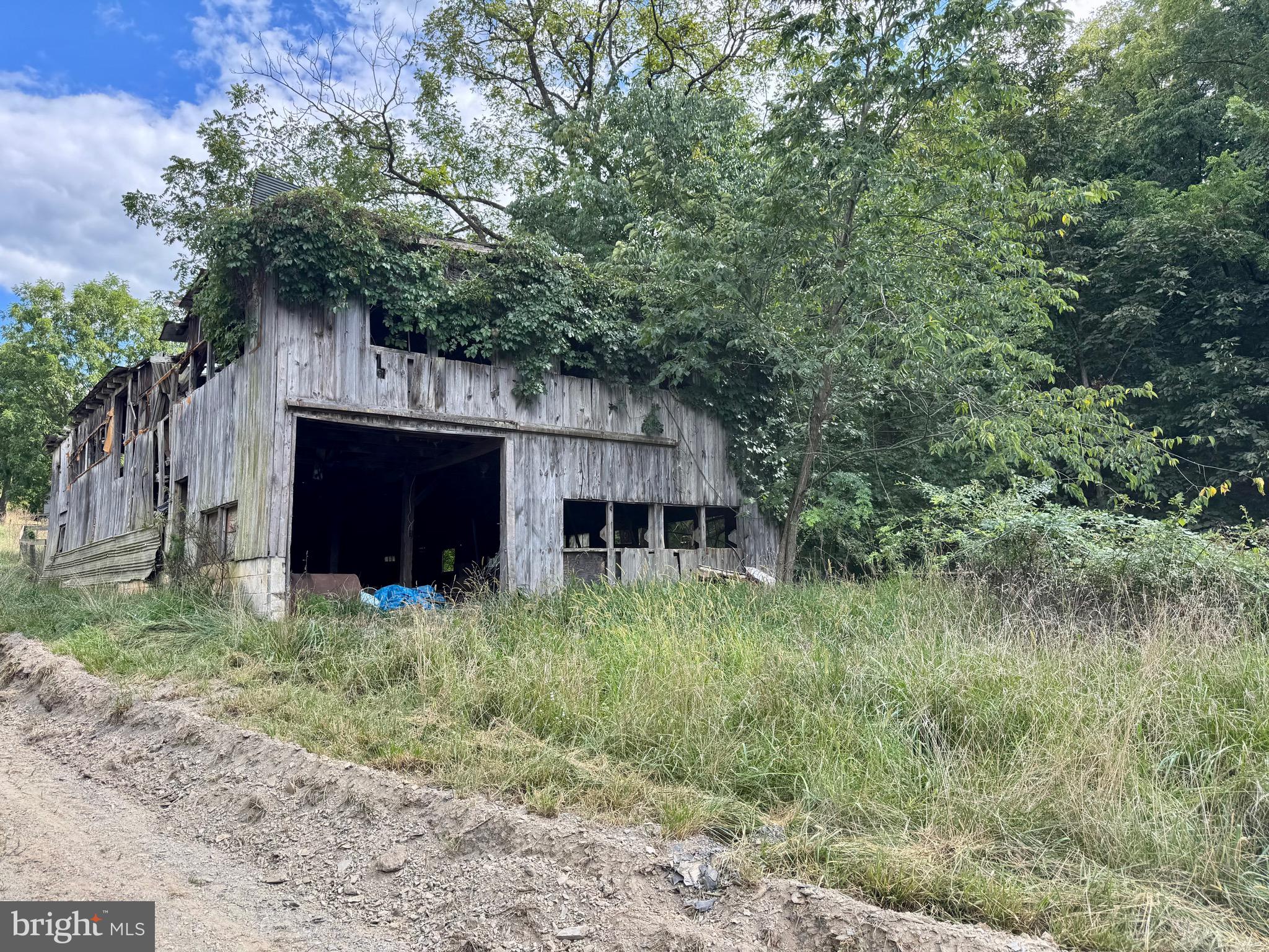 1030 Kites Road Petersburg, WV 26847 - Photo 43 of 51
