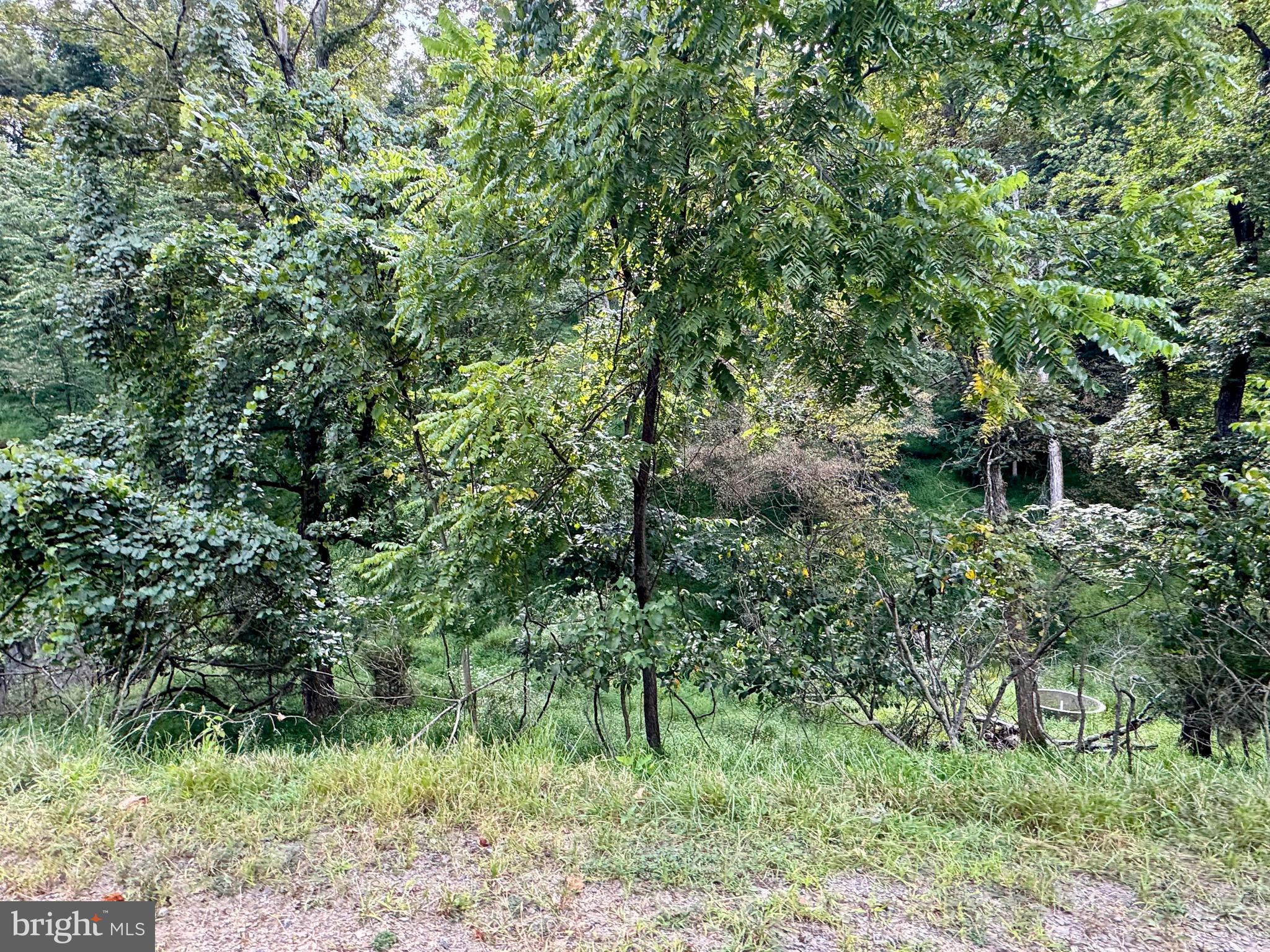 1030 Kites Road Petersburg, WV 26847 - Photo 44 of 51