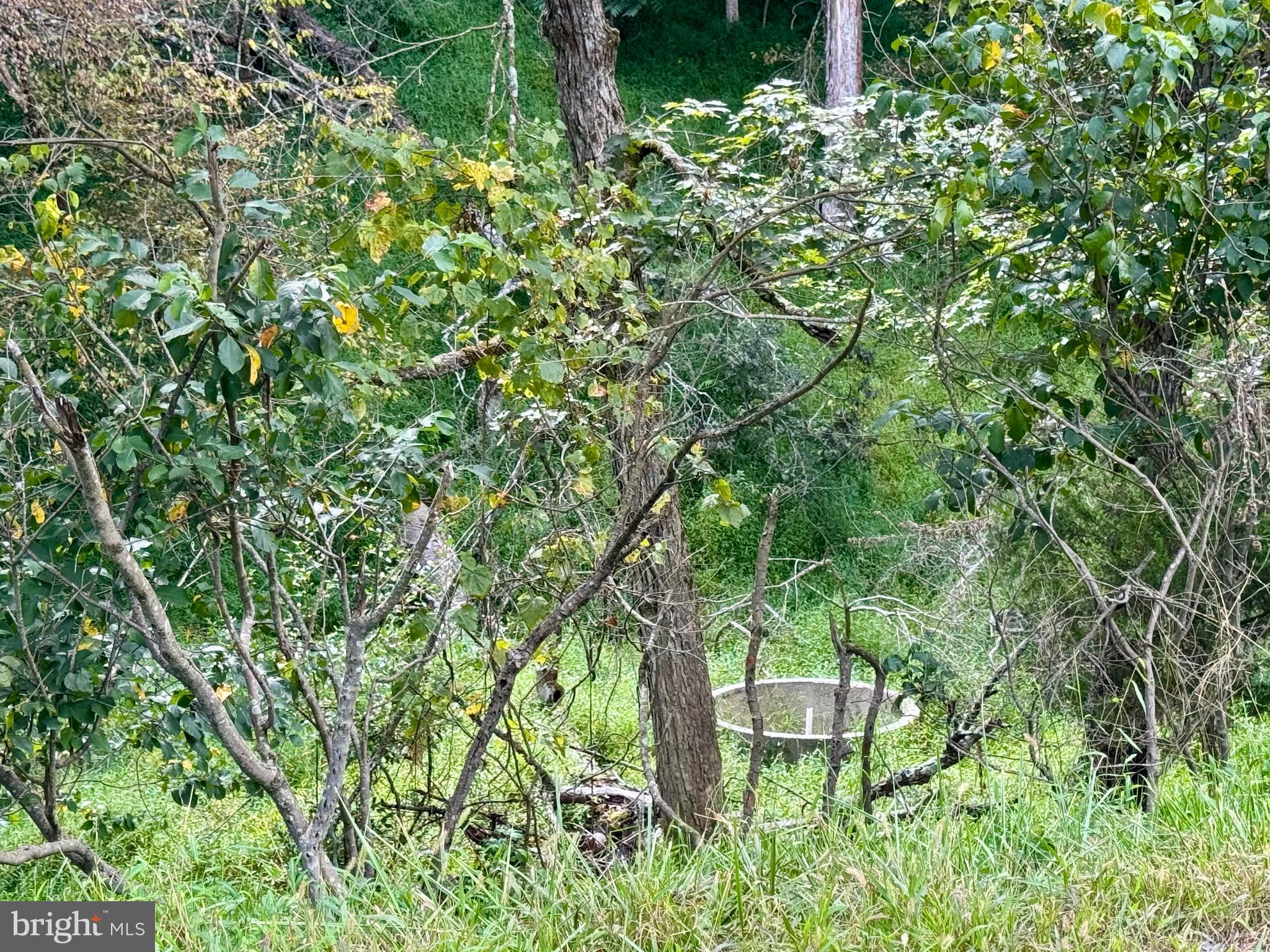 1030 Kites Road Petersburg, WV 26847 - Photo 47 of 51 Water tank