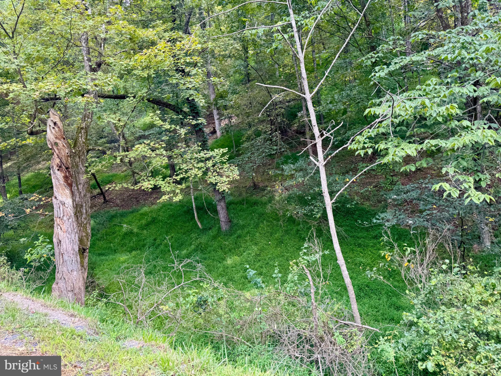 1030 Kites Road Petersburg, WV 26847 - Photo 48 of 51