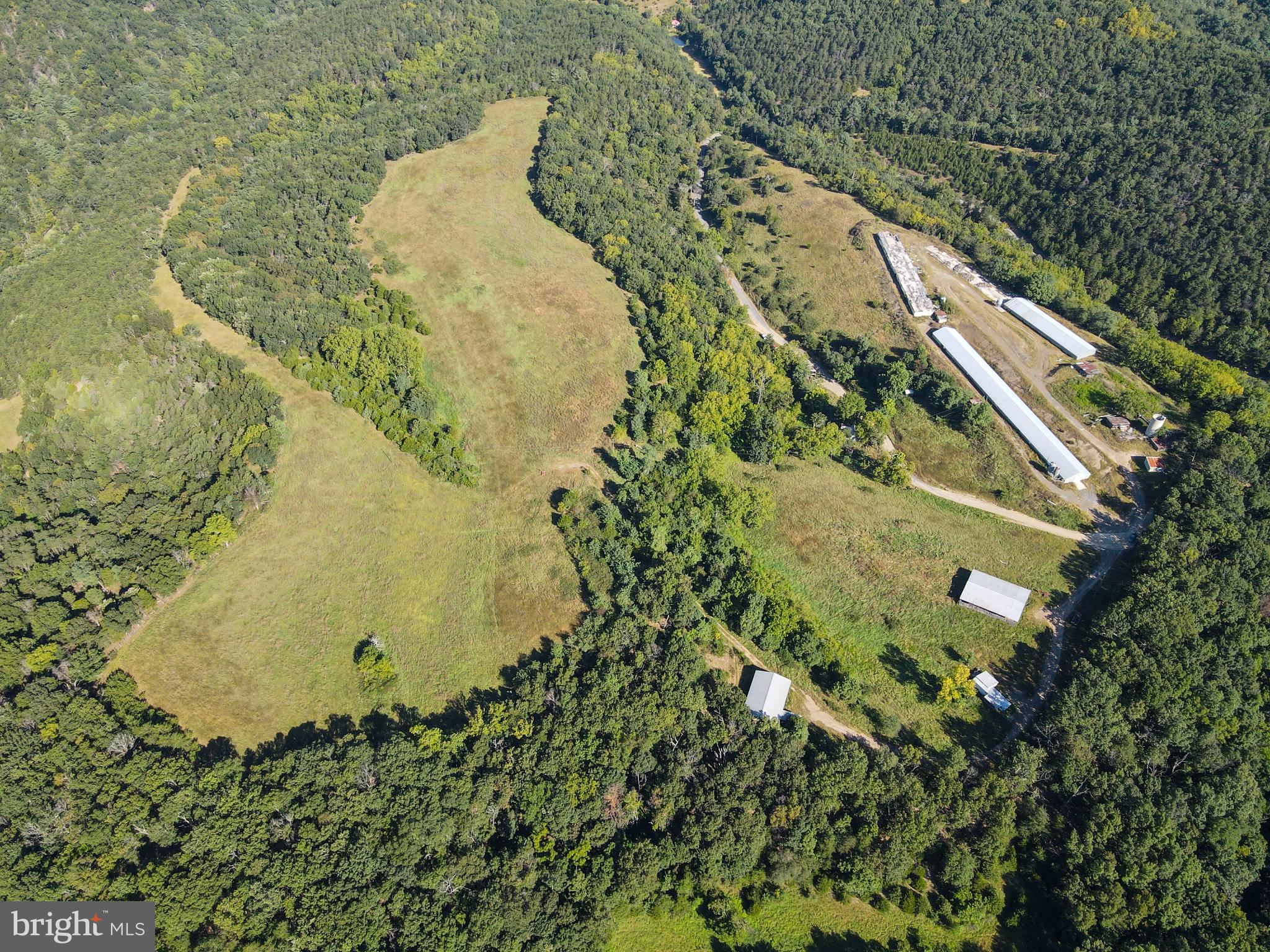 1030 Kites Road Petersburg, WV 26847 - Photo 8 of 51 Expansive green fields meet serene woodlands.