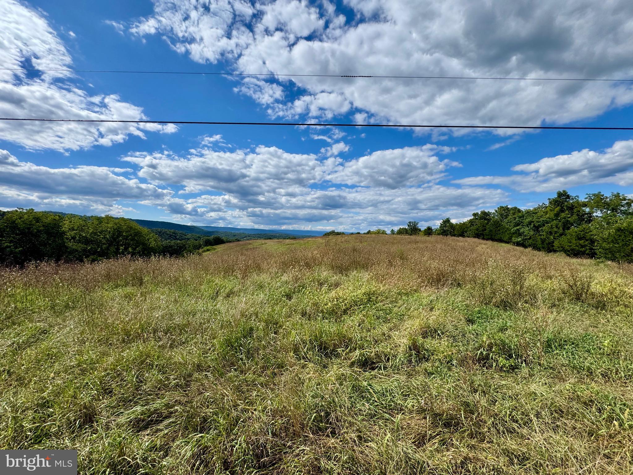 1030 Kites Road Petersburg, WV 26847 - Photo 10 of 51 Two large fields