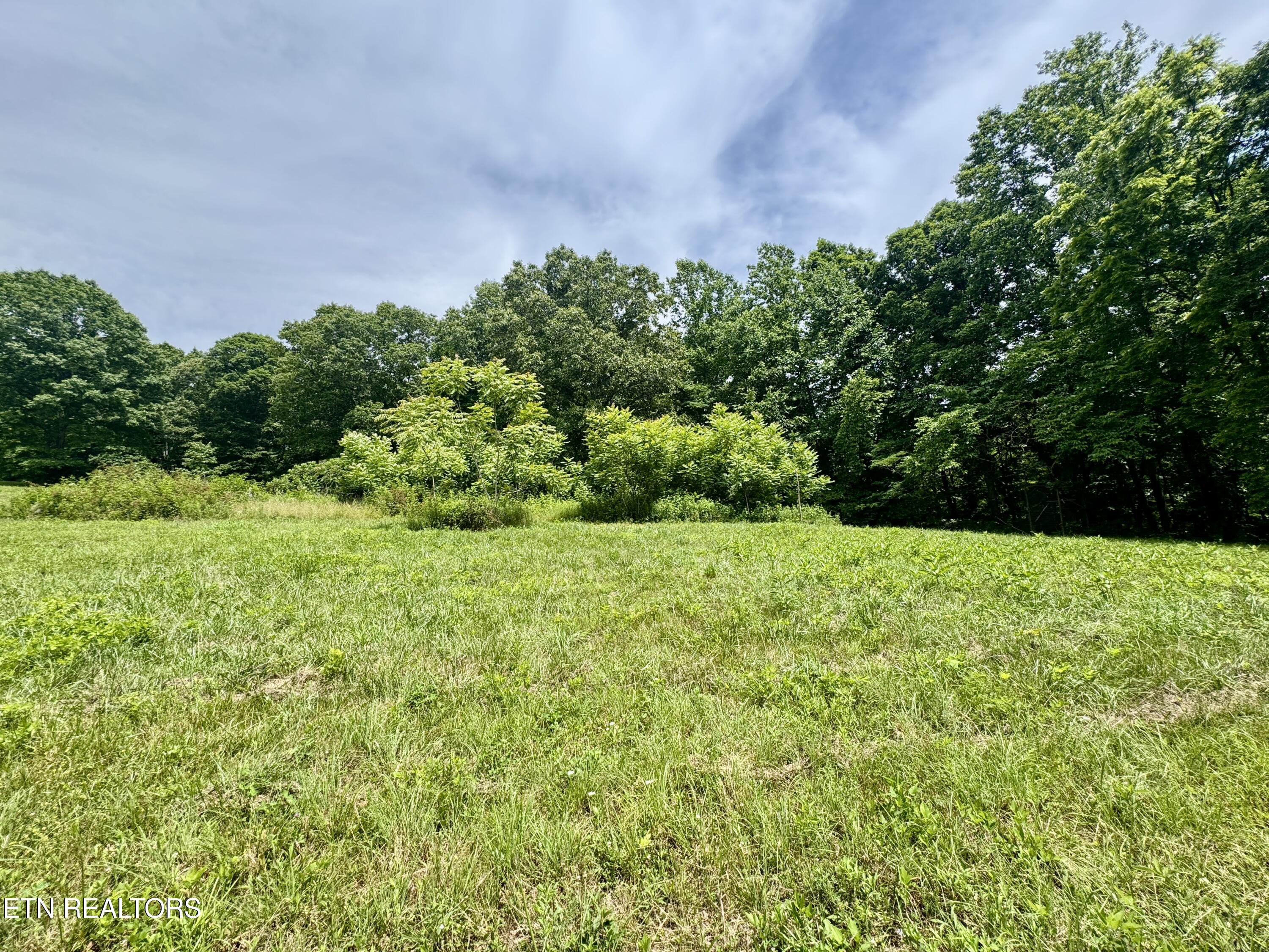 378 Johnson Hollow Road New Tazewell, TN 37825 - Photo 11 of 35 1-11