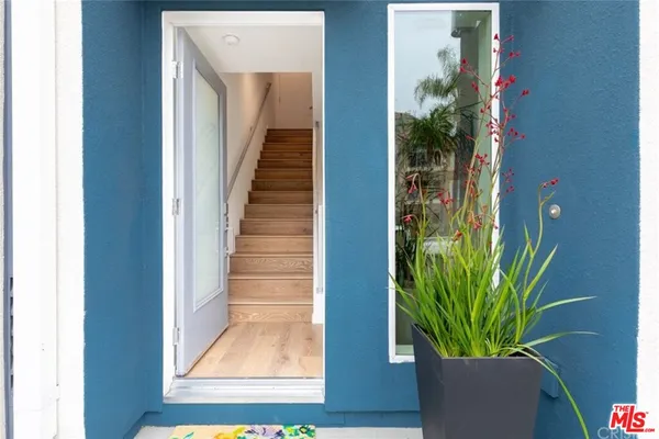 a view of staircase with wooden floor and a potted plant
