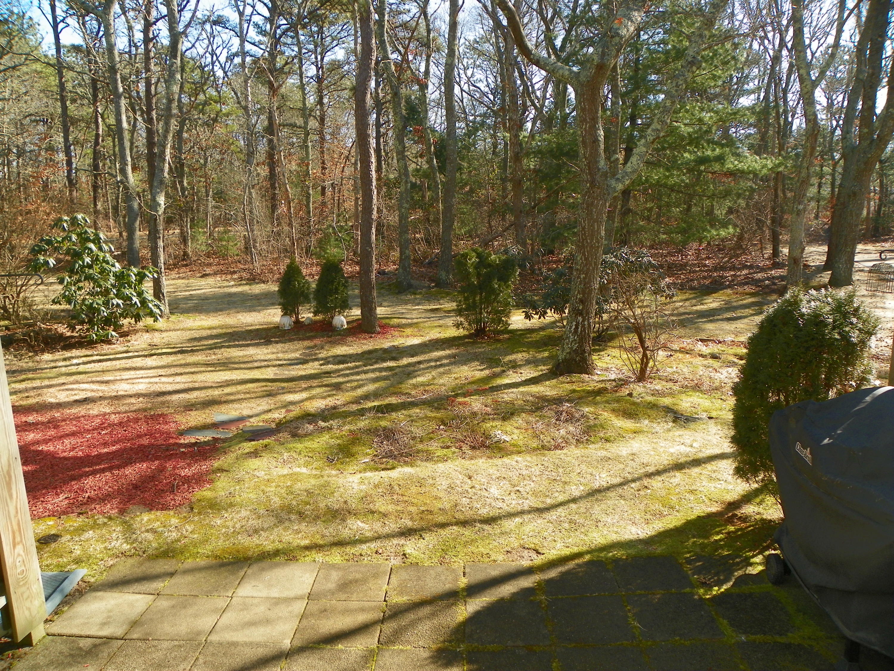 300 Falmouth Road, Unit 6E Mashpee, MA 02649 - Photo 27 of 32 a view of yard with tree in beside