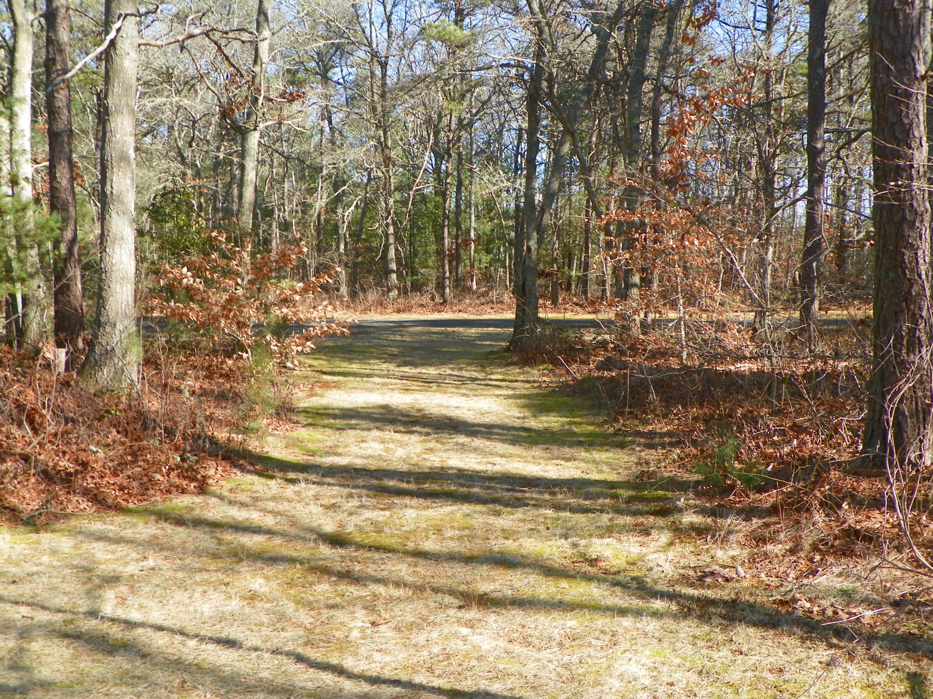 300 Falmouth Road, Unit 6E Mashpee, MA 02649 - Photo 29 of 32 a view of lake view