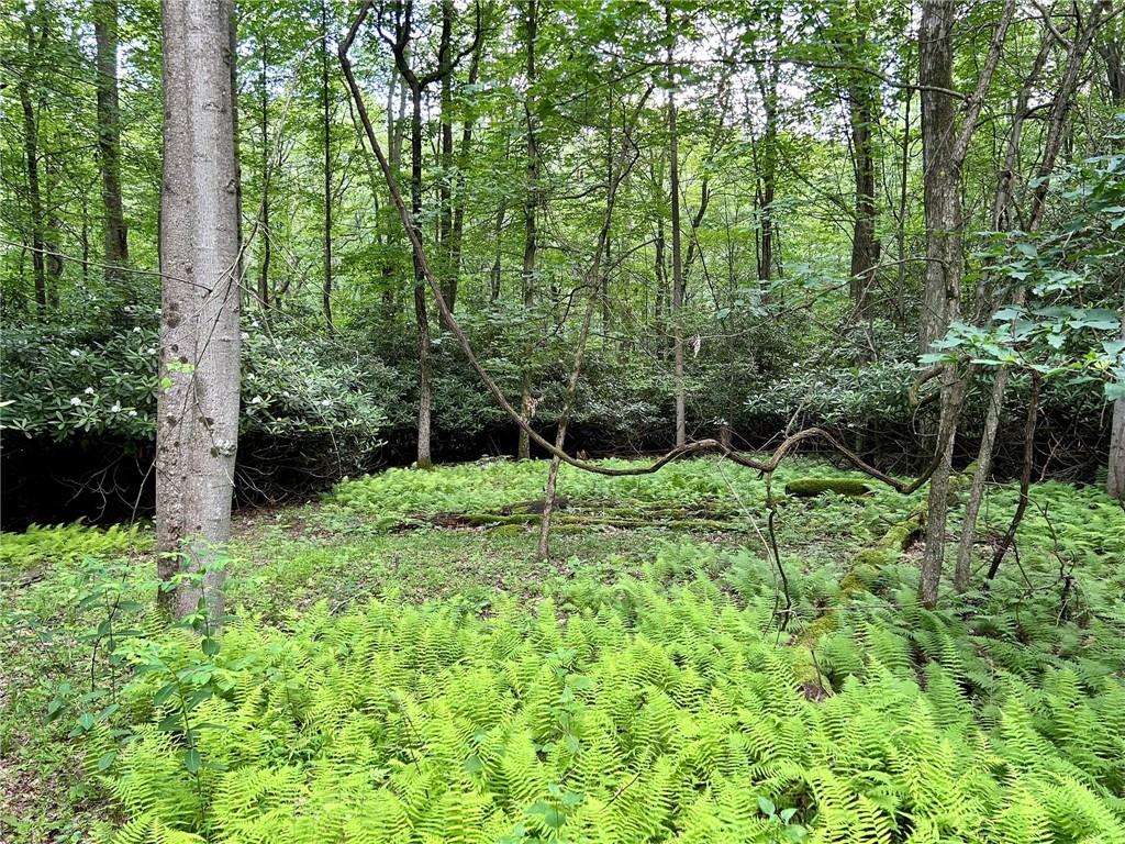 221 North Locust Road Acme, PA 15610 - Photo 23 of 26 a view of yard with green space