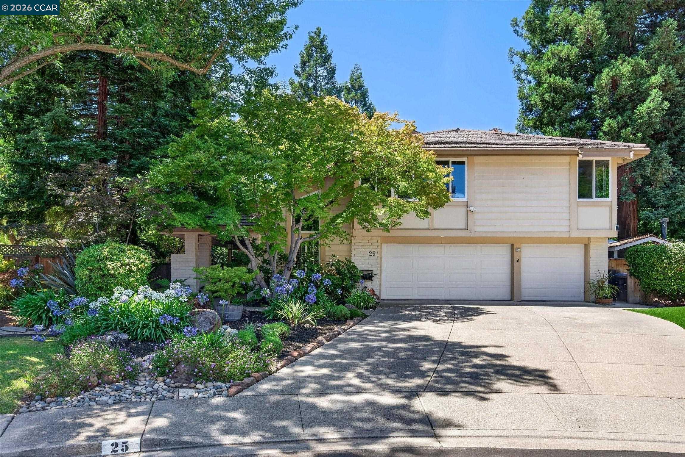 25 Lynnbrook Court San Ramon, CA 94582 - Photo 5 of 93