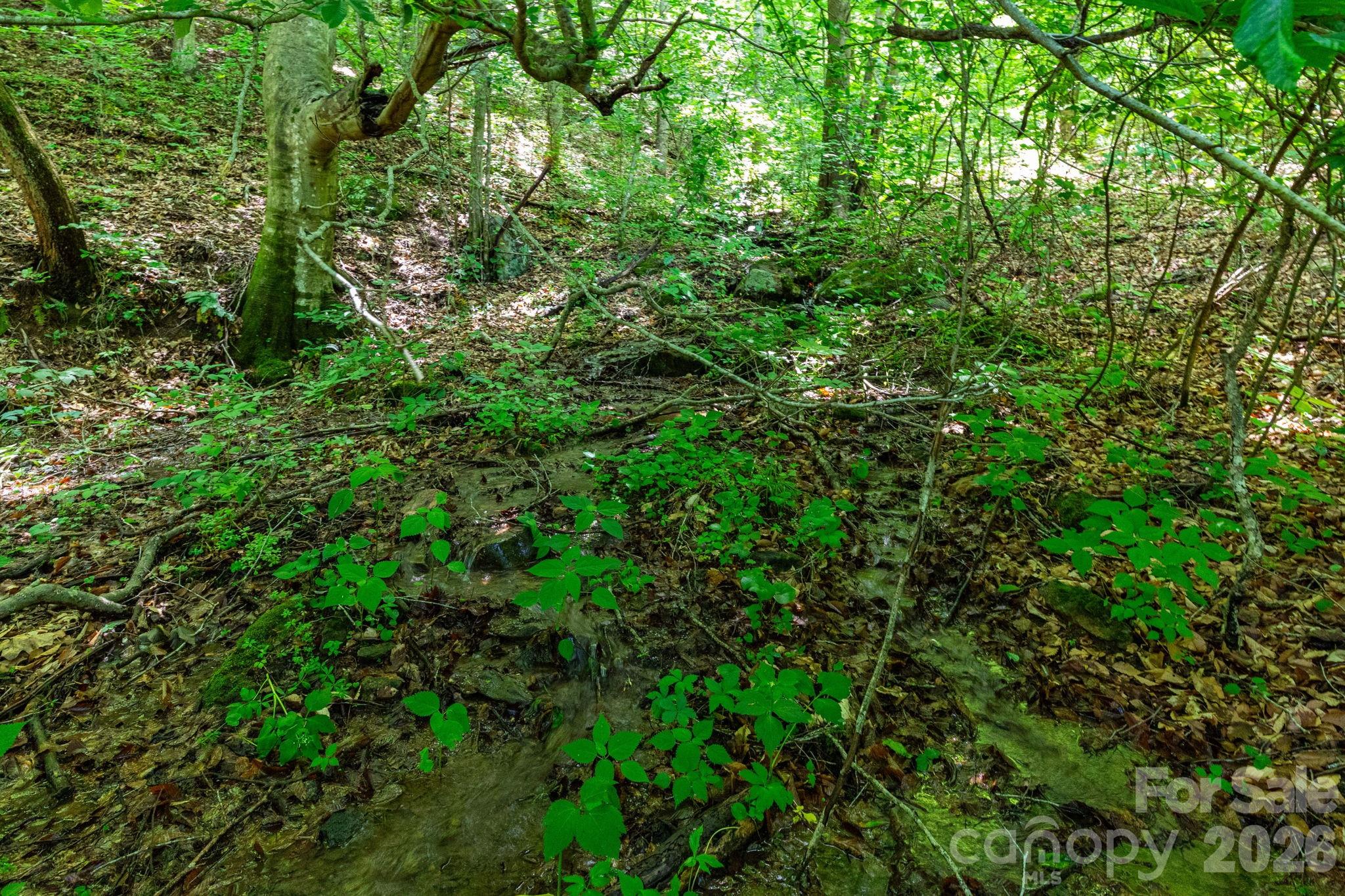 329 North Fork Road Barnardsville, NC 28709 - Photo 20 of 33