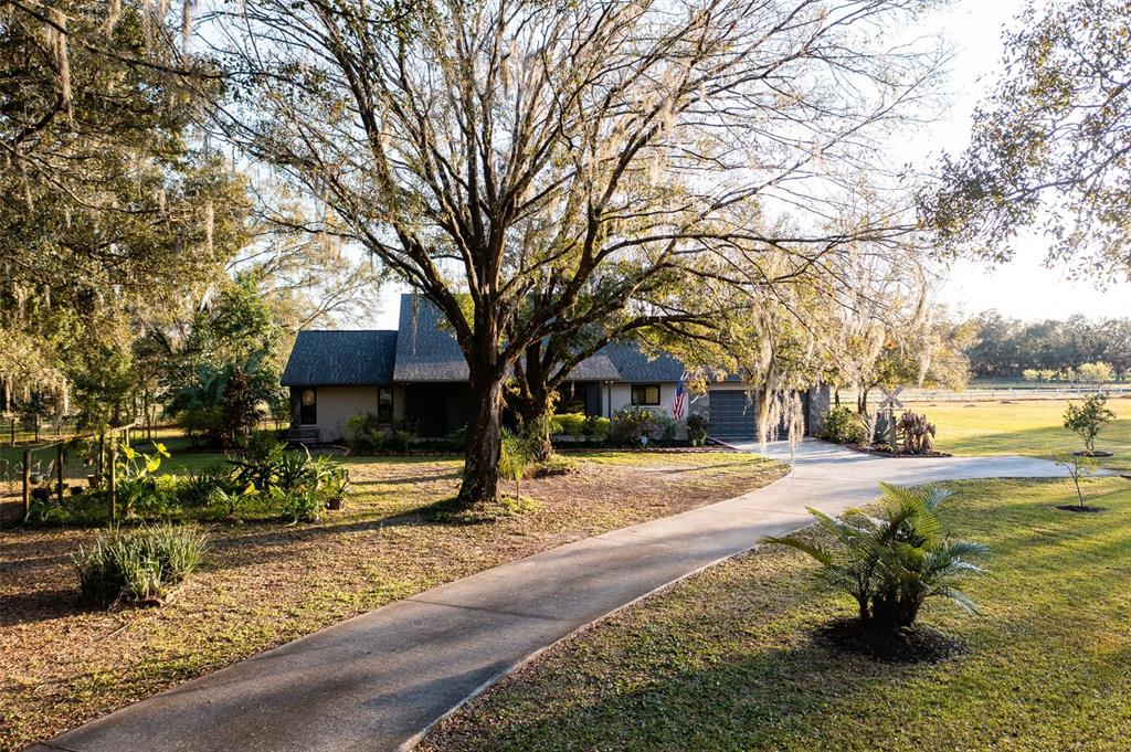 5001 Booth Road Plant City, FL 33565 - Photo 1 of 1 Gallery Image 1