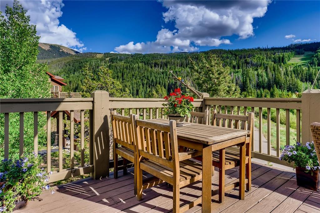 32 Snake River Road, Unit 6 Keystone, CO 80435 - Photo 24 of 34 Gallery Image 24