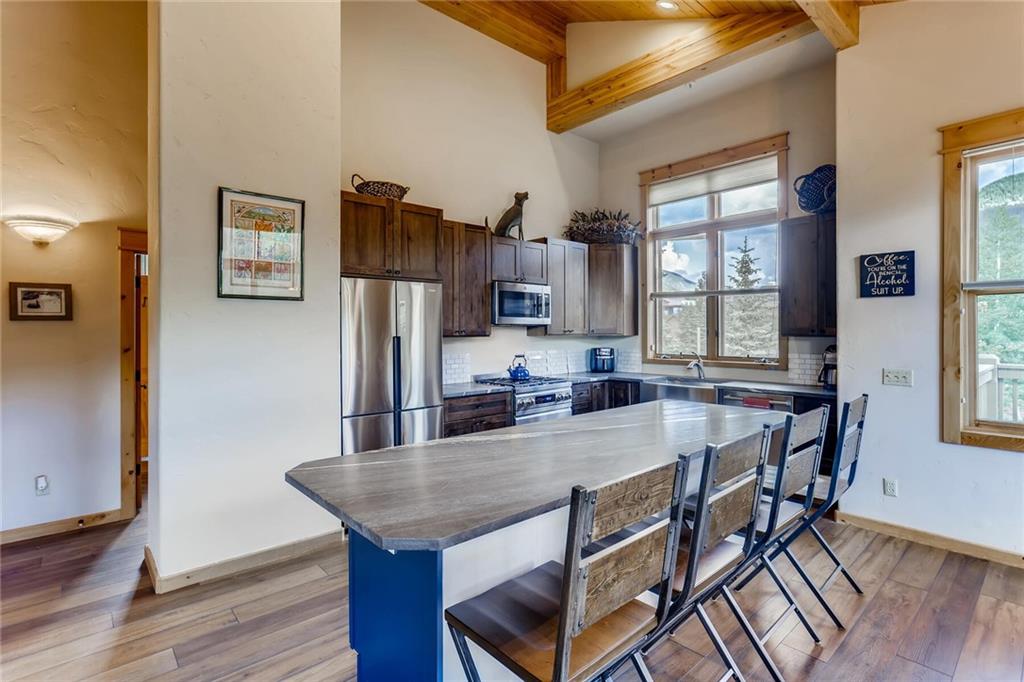 32 Snake River Road, Unit 6 Keystone, CO 80435 - Photo 9 of 34 Gallery Image 9
