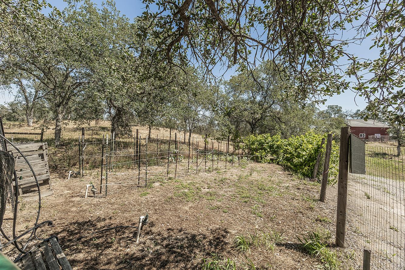 14815 Garlock Lane Prather, CA 93651 - Photo 46 of 80