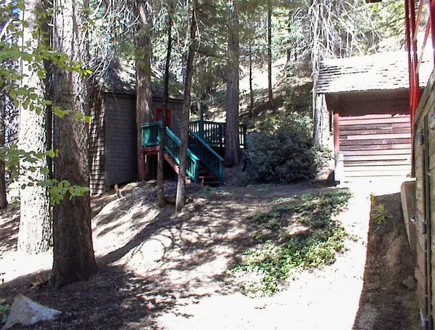 a view of a park with large trees