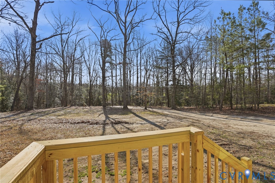 286 Mill Pond Road South St. Stephens Church, VA 23148 - Photo 29 of 39