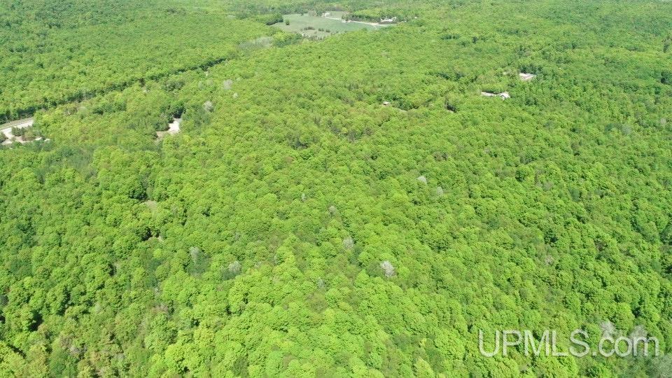 Tbd Tbd Osborn Dr Road McMillan, MI 49853 - Photo 13 of 18