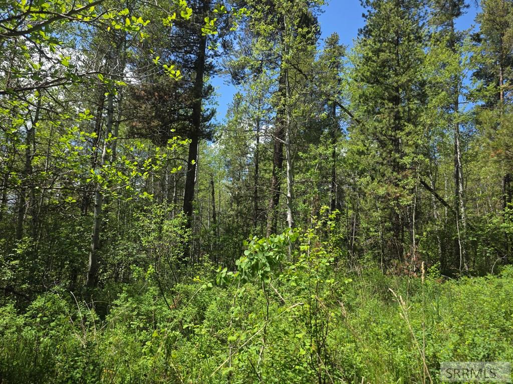 4585 East 1400 Road North Ashton, ID 83420 - Photo 15 of 31