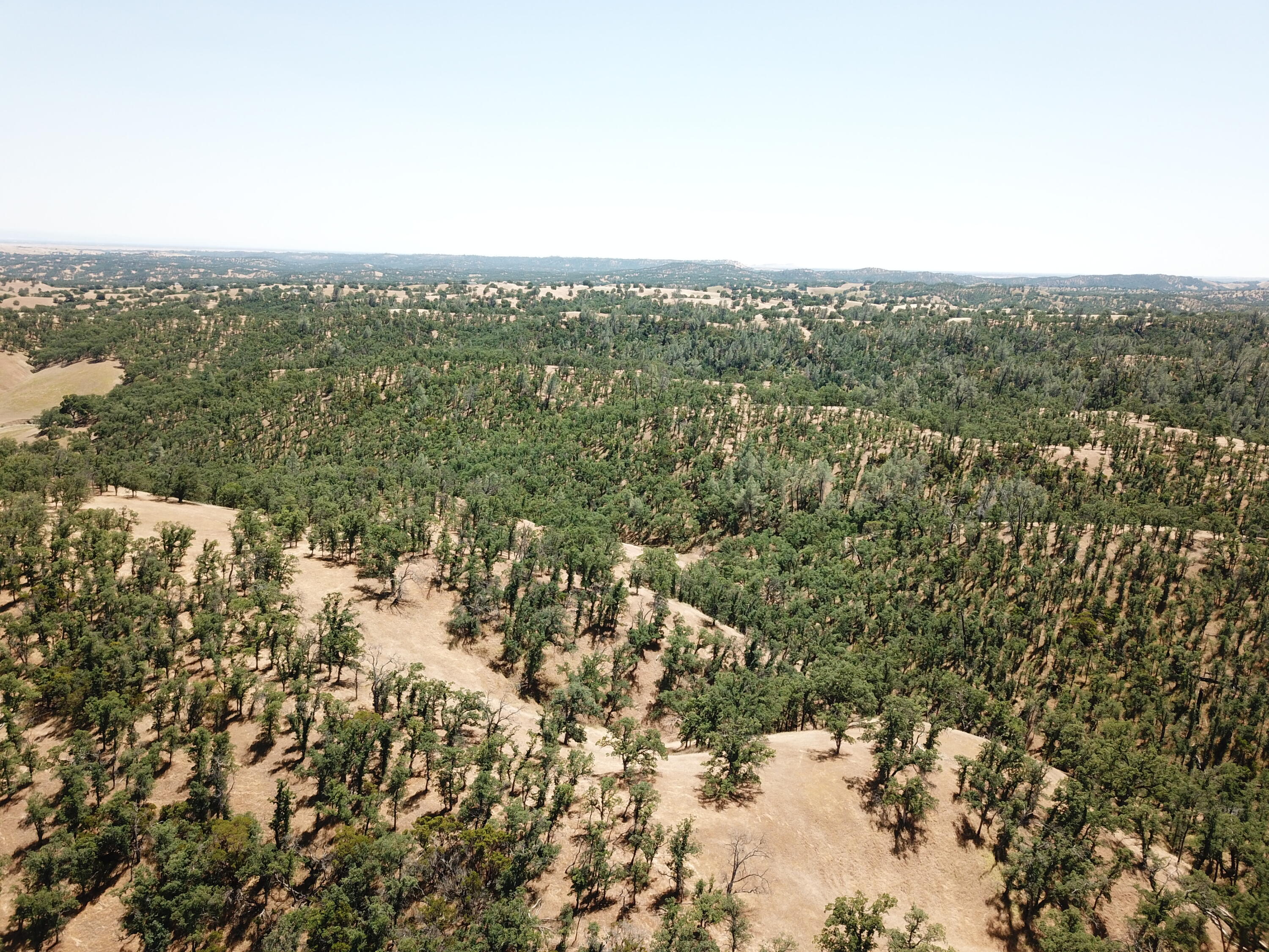 0 Colyer Springs Road Red Bluff, CA 96080 - Photo 15 of 29 an aerial view of house with yard and mountain view in back