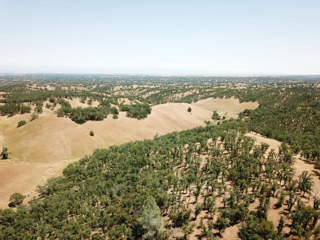 a view of city and ocean