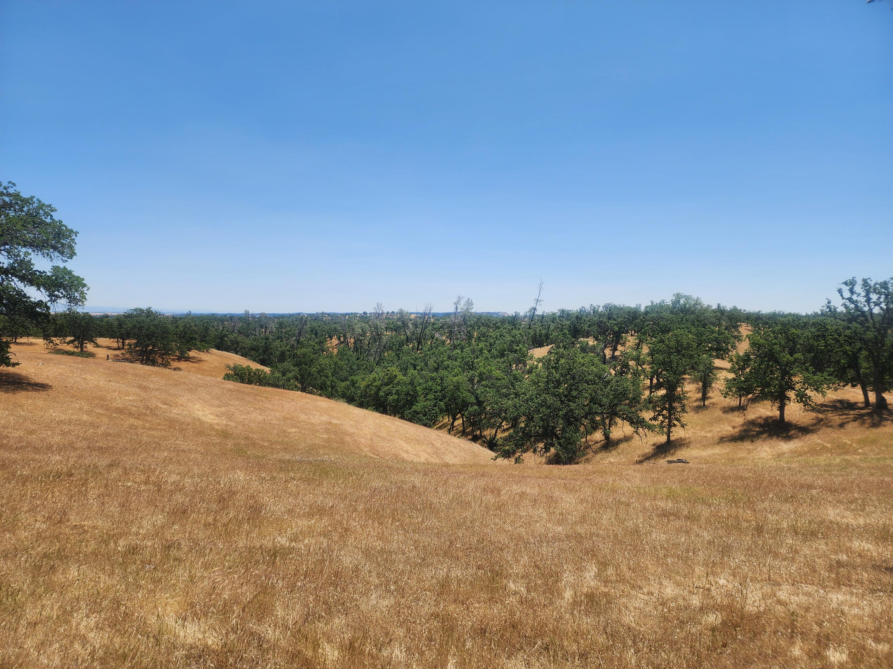 0 Colyer Springs Road Red Bluff, CA 96080 - Photo 2 of 29 a view of outdoor space and city view