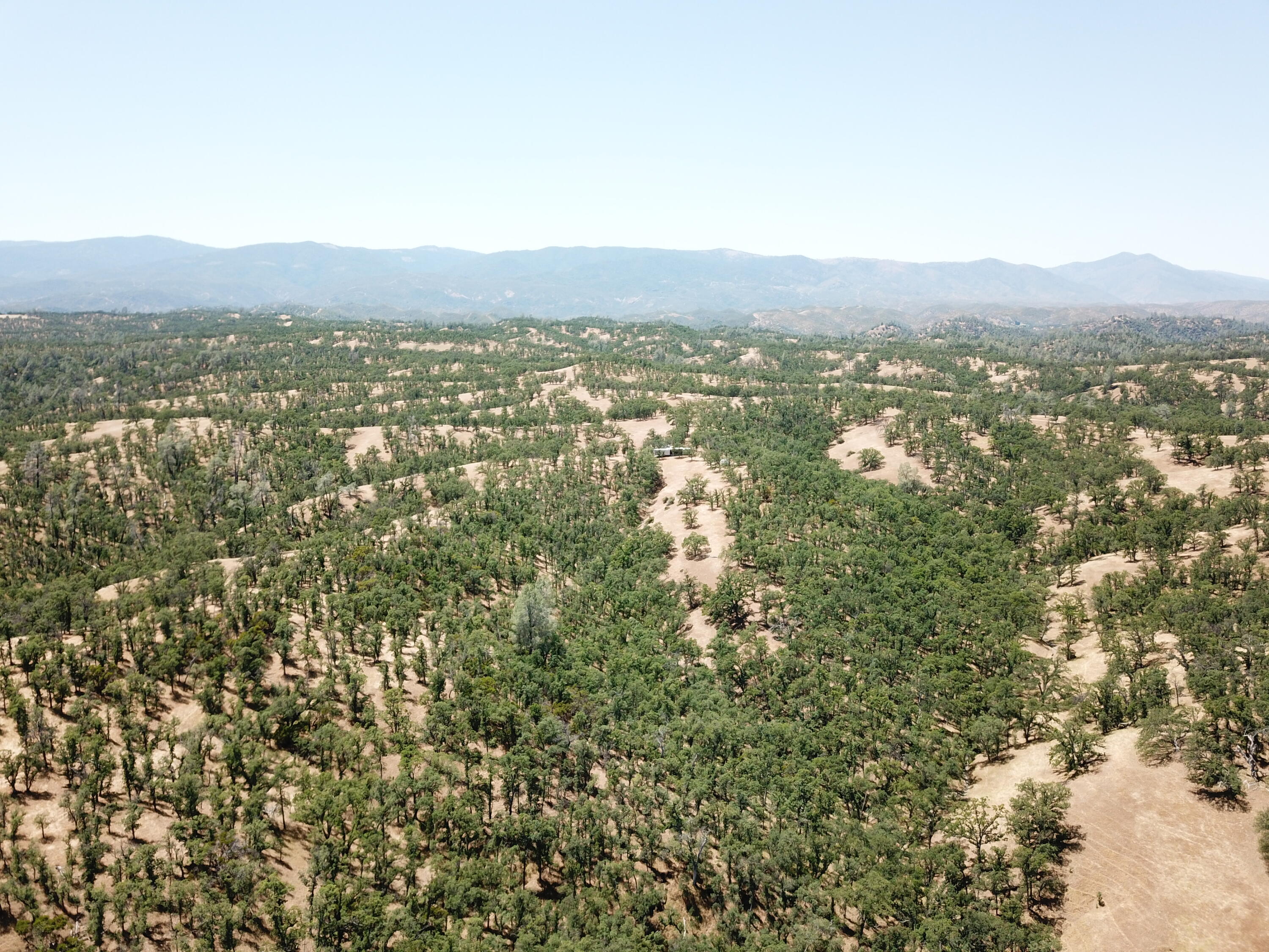 0 Colyer Springs Road Red Bluff, CA 96080 - Photo 24 of 29 an aerial view of residential houses with outdoor space and trees