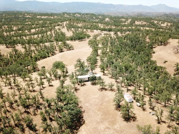 a view of water from a tree