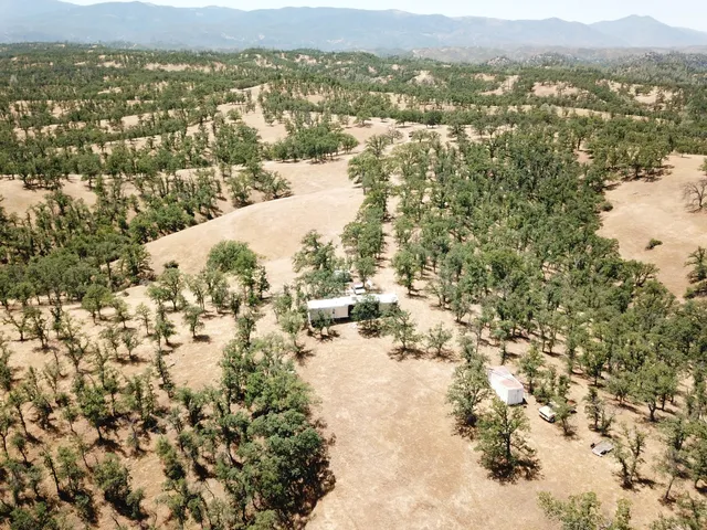 a view of water from a tree