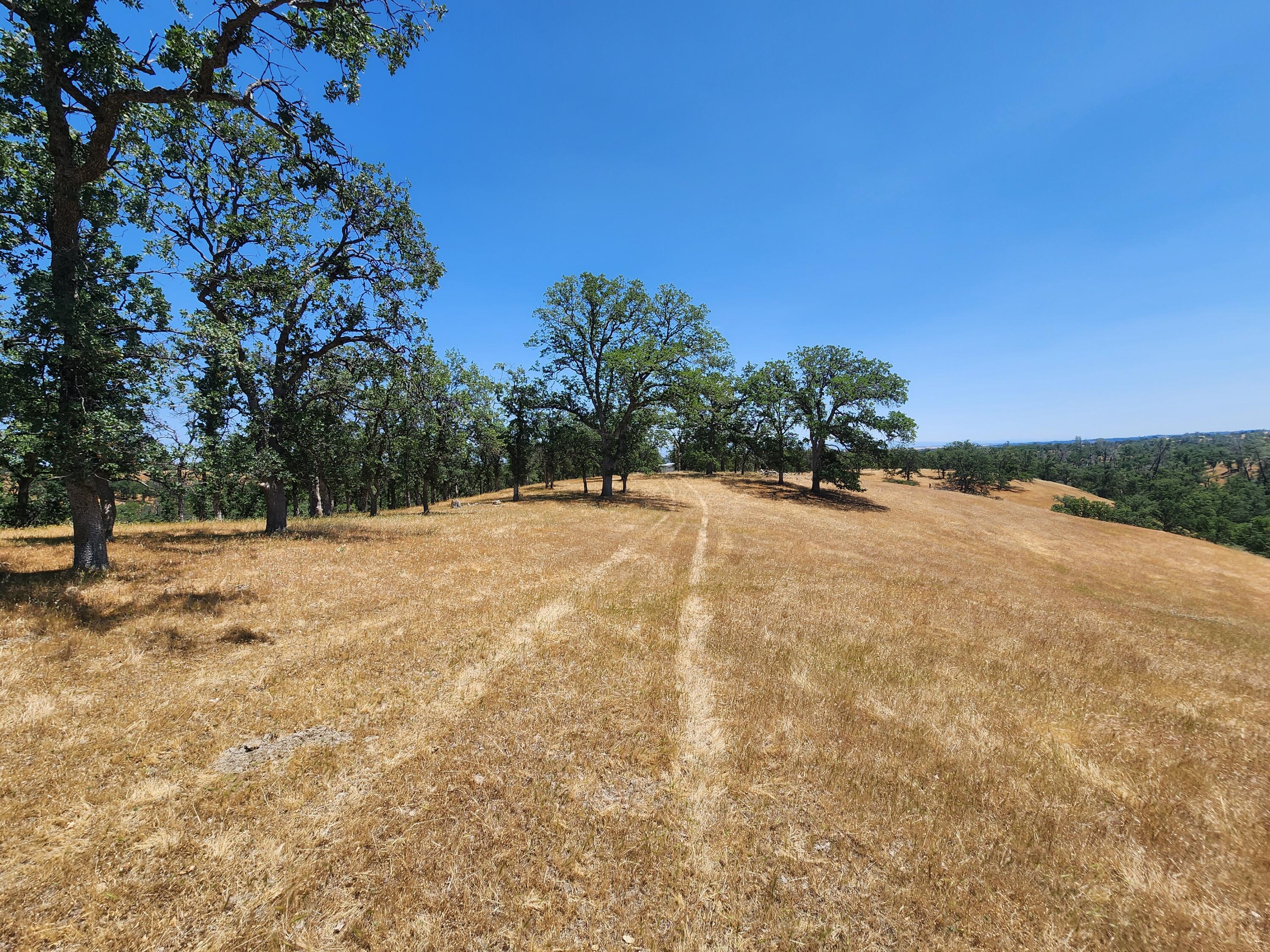0 Colyer Springs Road Red Bluff, CA 96080 - Photo 3 of 29 a view of outdoor space yard and trees